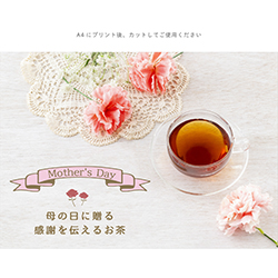 �K���X�x�[�XPOP